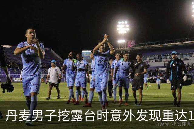 丹麦男子挖露台时意外发现重达18.5公斤维京银宝藏