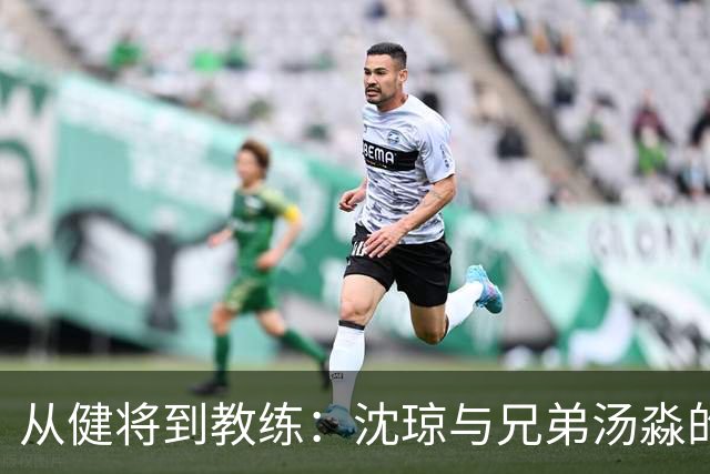 从健将到教练：沈琼与兄弟汤淼的命运交织