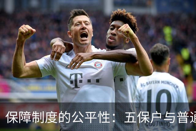 保障制度的公平性：五保户与普通劳动者的区别