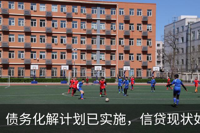 债务化解计划已实施，信贷现状如何？