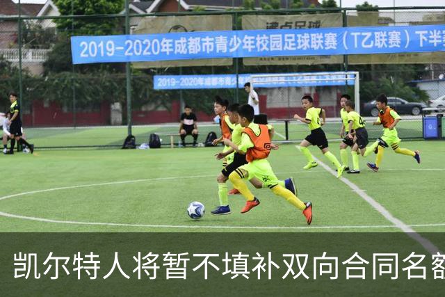 凯尔特人将暂不填补双向合同名额