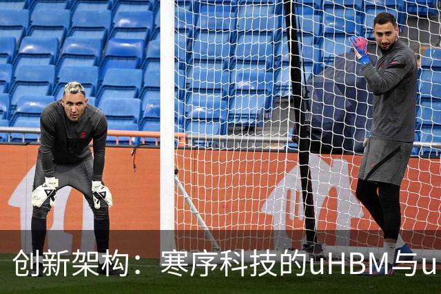 创新架构：寒序科技的uHBM与uLPU解析
