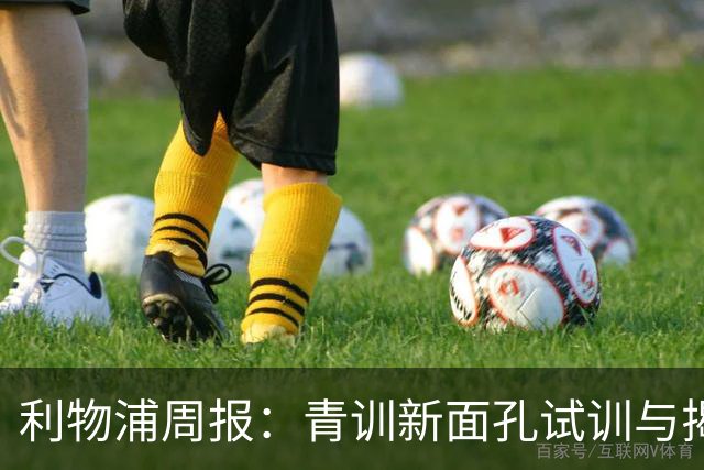 利物浦周报：青训新面孔试训与揭幕战数据透视