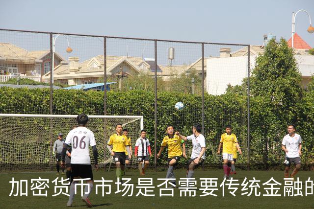 加密货币市场是否需要传统金融的认可？