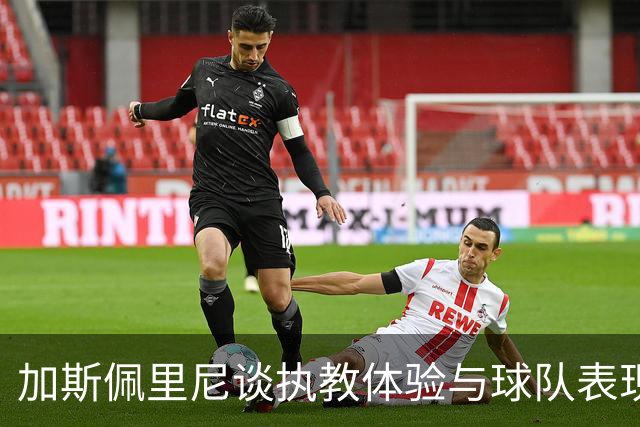 加斯佩里尼谈执教体验与球队表现