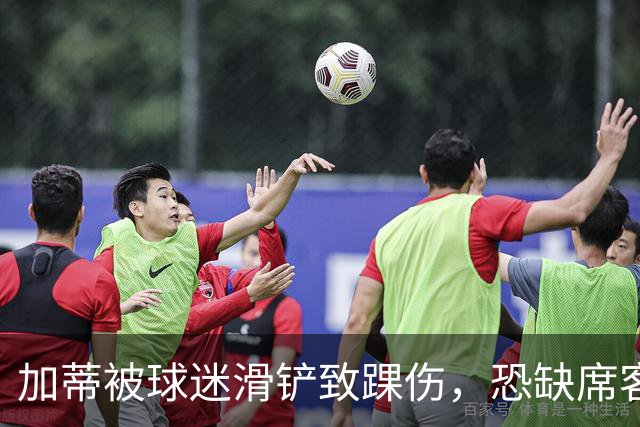 加蒂被球迷滑铲致踝伤，恐缺席客战弗洛西诺内