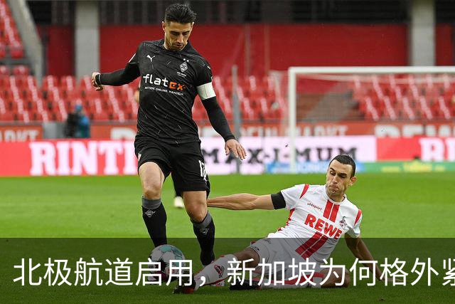 北极航道启用，新加坡为何格外紧张