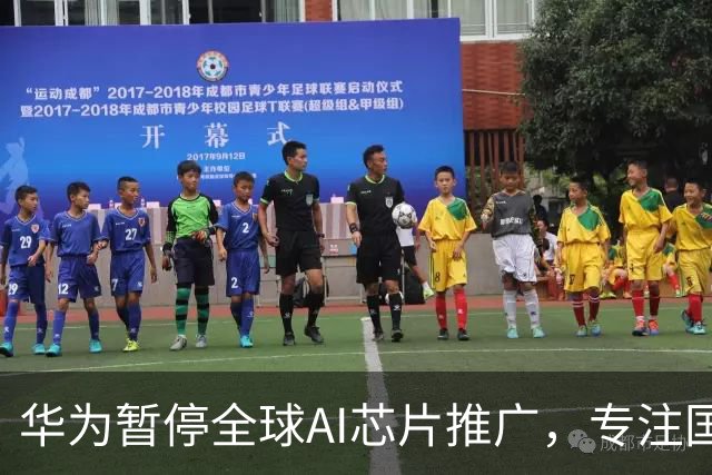 华为暂停全球AI芯片推广，专注国内市场需求