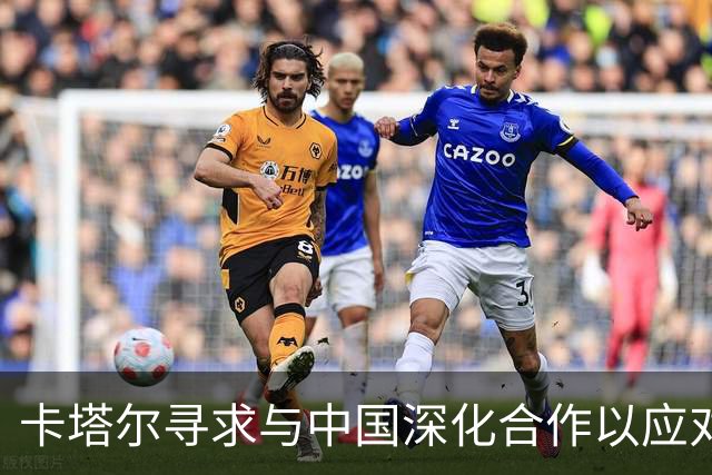 卡塔尔寻求与中国深化合作以应对能源危机