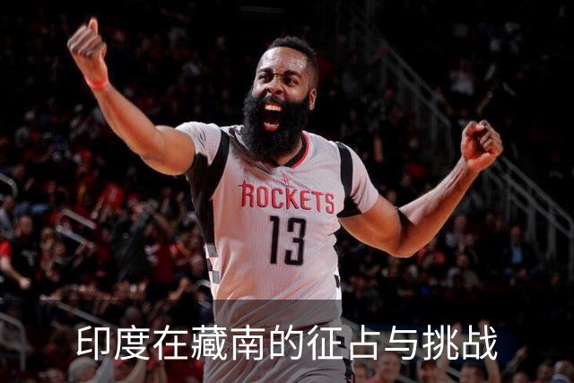 印度在藏南的征占与挑战
