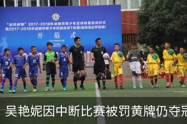 吴艳妮因中断比赛被罚黄牌仍夺冠 三连冠成全锦赛六金王