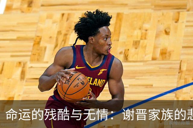 命运的残酷与无情：谢晋家族的悲剧