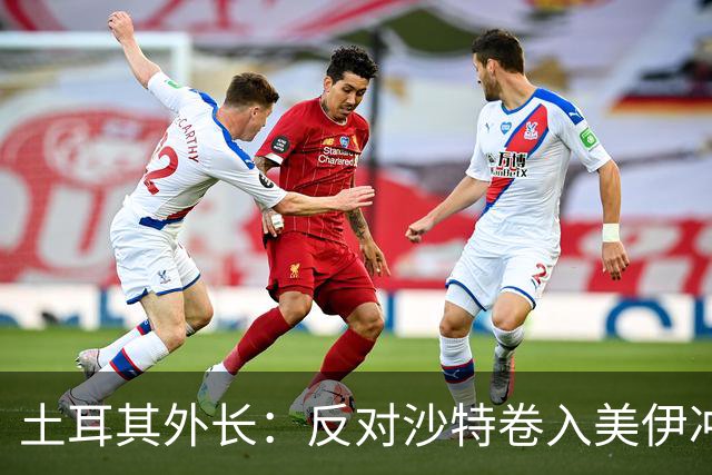 土耳其外长：反对沙特卷入美伊冲突
