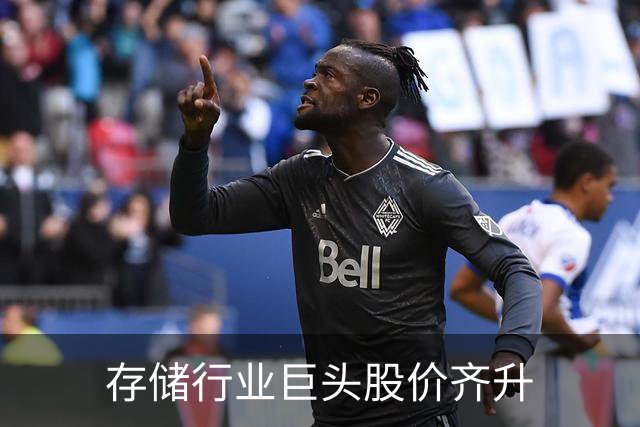 存储行业巨头股价齐升