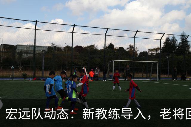 宏远队动态：新教练导入，老将回归，球员状态良好