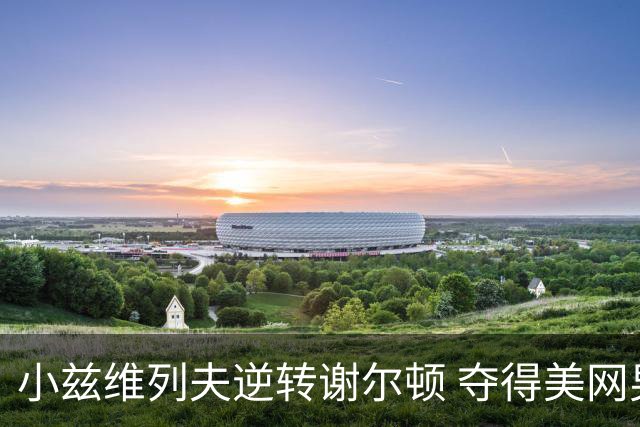 小兹维列夫逆转谢尔顿 夺得美网男单冠军