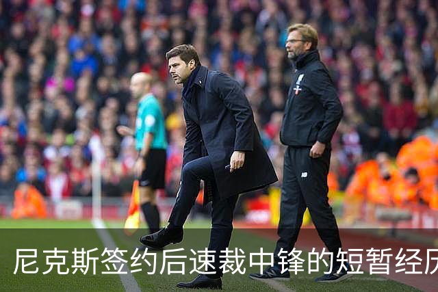 尼克斯签约后速裁中锋的短暂经历