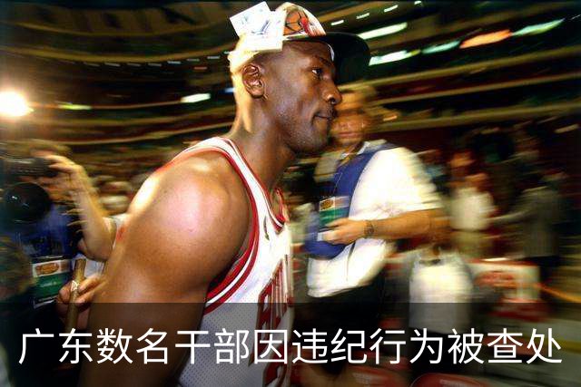 广东数名干部因违纪行为被查处