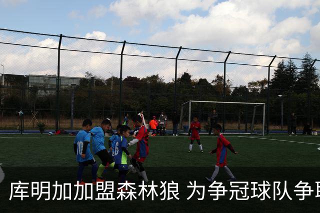 库明加加盟森林狼 为争冠球队争取首发位置