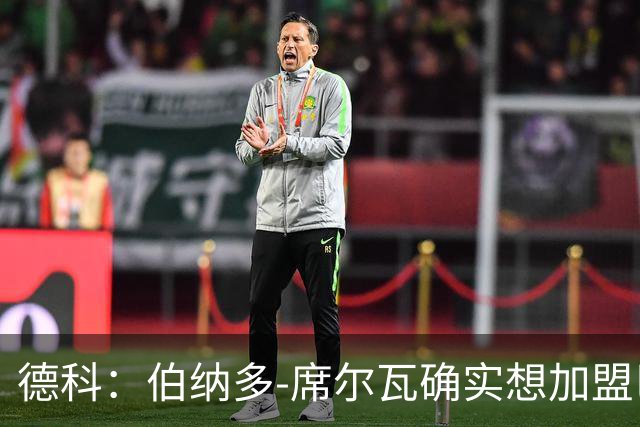 德科：伯纳多-席尔瓦确实想加盟巴萨，但位置不合适