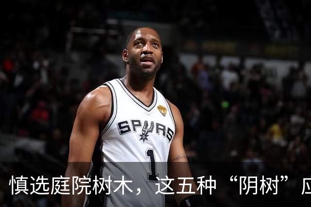 慎选庭院树木，这五种“阴树”应避免种植