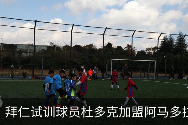 拜仁试训球员杜多克加盟阿马多拉之星，关系密切