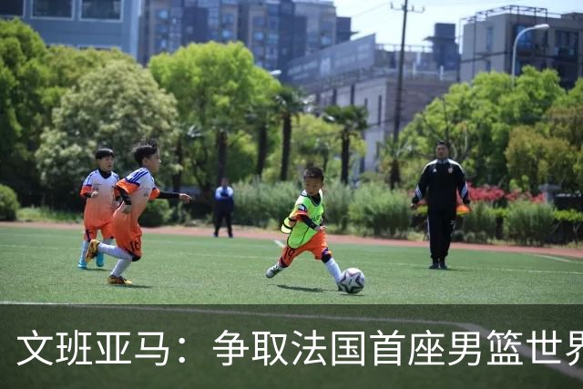 文班亚马：争取法国首座男篮世界杯是我们的追求