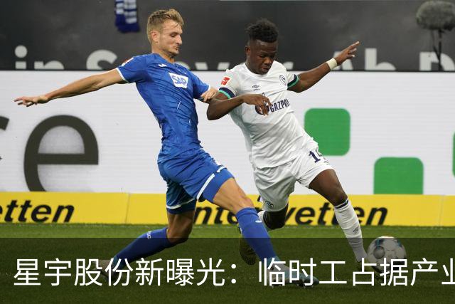 星宇股份新曝光：临时工占据产业园员工大多数