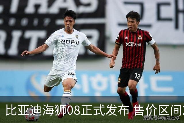 比亚迪海狮08正式发布 售价区间22.99万至27.99万