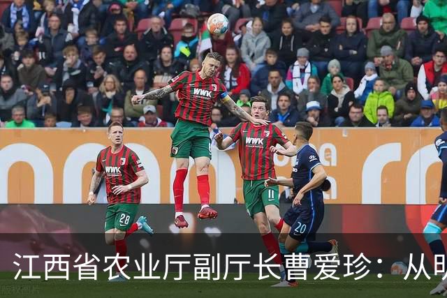 江西省农业厅副厅长曹爱珍：从明星干部到落马的教训