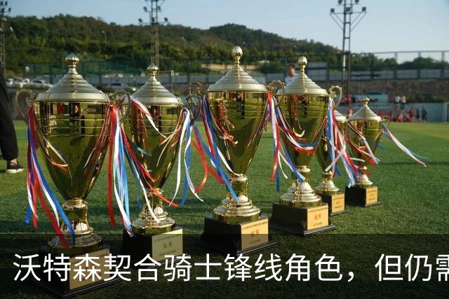 沃特森契合骑士锋线角色，但仍需成长