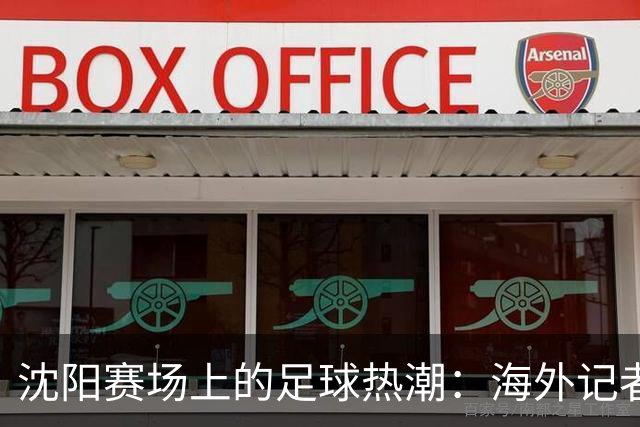沈阳赛场上的足球热潮：海外记者的独特体验
