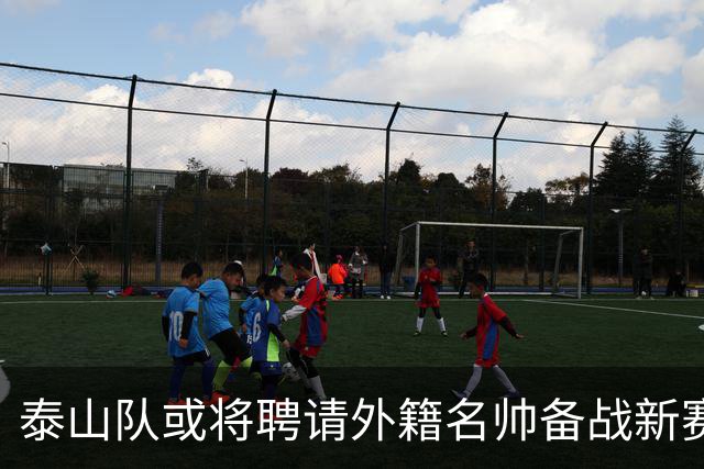 泰山队或将聘请外籍名帅备战新赛季