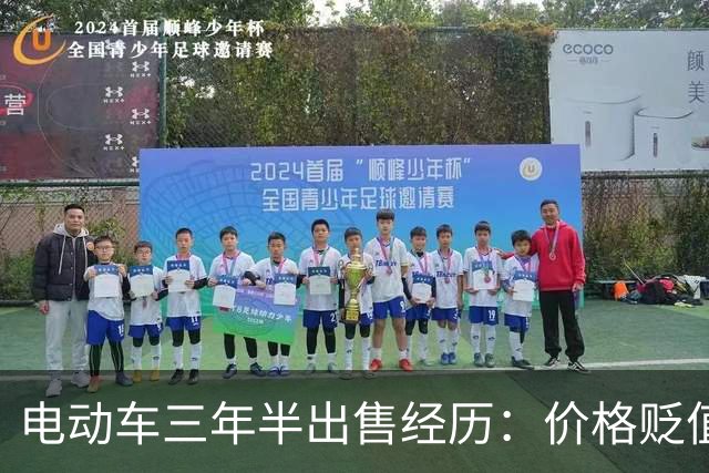 电动车三年半出售经历：价格贬值与换油车的安心