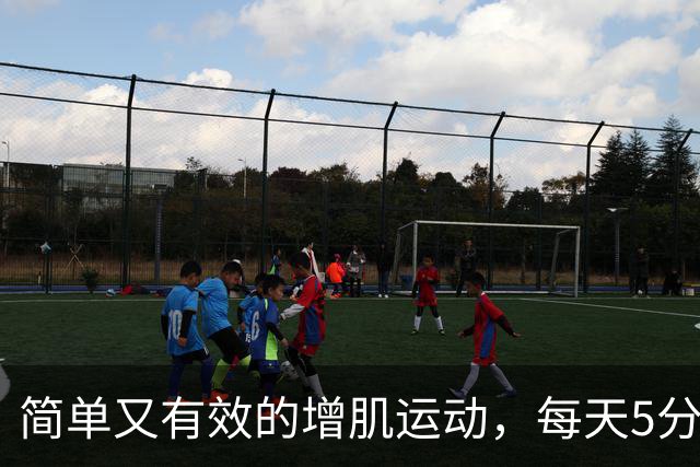 简单又有效的增肌运动，每天5分钟轻松提升肌肉与心情