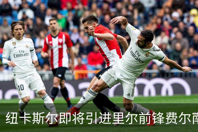 纽卡斯尔即将引进里尔前锋费尔南德斯-帕尔多