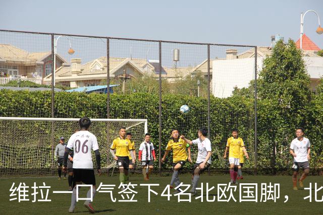 维拉一口气签下4名北欧国脚，北欧阵营跃居联赛第四