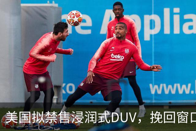 美国拟禁售浸润式DUV，挽回窗口已过