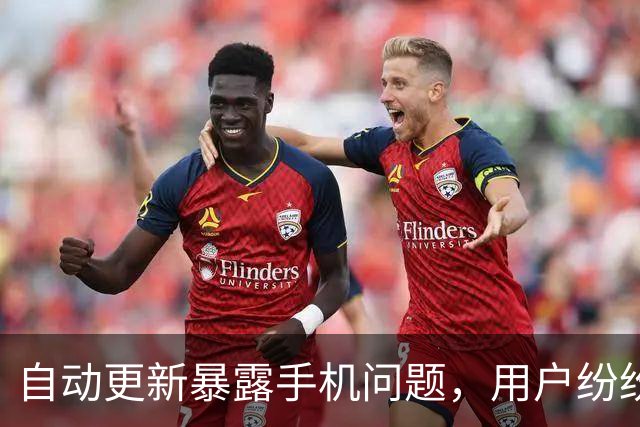自动更新暴露手机问题，用户纷纷关闭功能