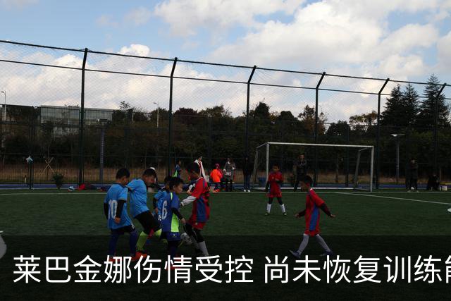 莱巴金娜伤情受控 尚未恢复训练能否出战美网成疑