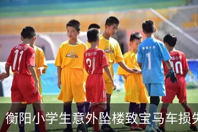 衡阳小学生意外坠楼致宝马车损失约5万元，双方赔偿争议未解