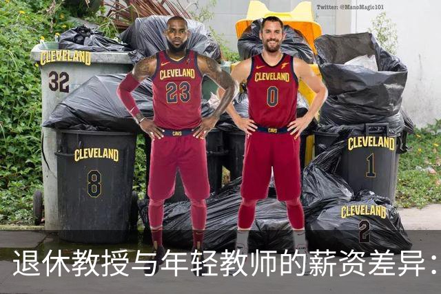 退休教授与年轻教师的薪资差异：银龄教授的优势
