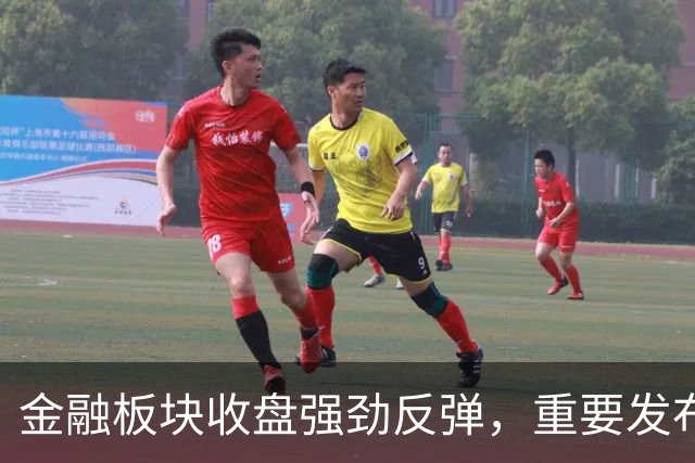 金融板块收盘强劲反弹，重要发布会将于下午召开