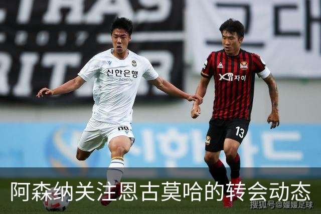 阿森纳关注恩古莫哈的转会动态