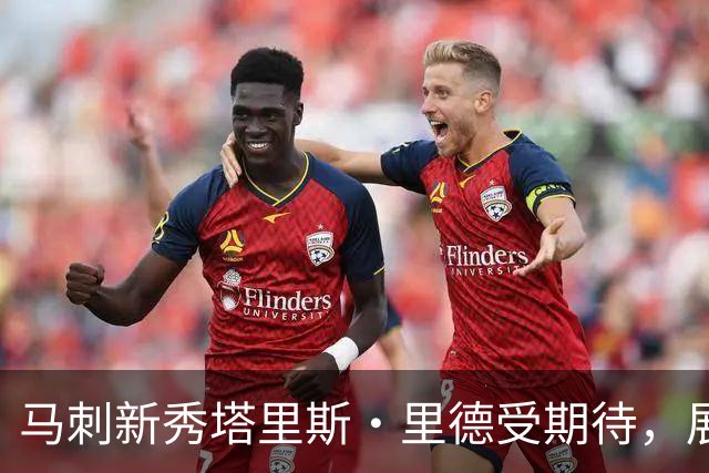 马刺新秀塔里斯·里德受期待，展现即战力潜力