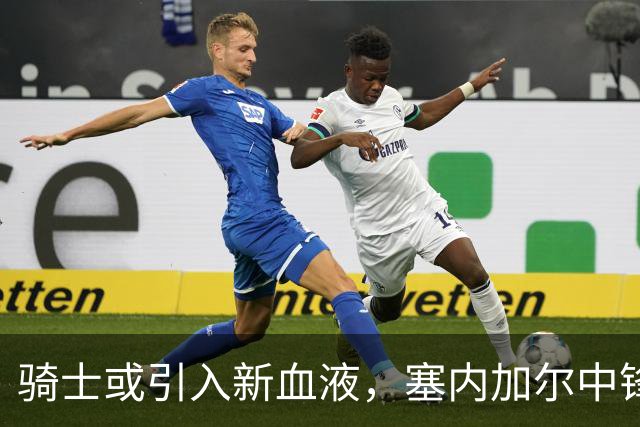 骑士或引入新血液，塞内加尔中锋迪奥普体检获批