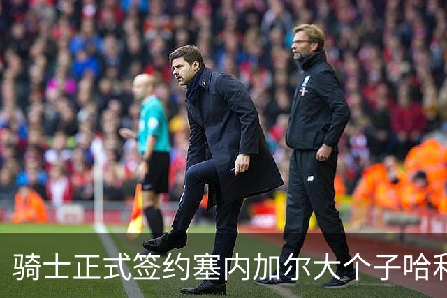 骑士正式签约塞内加尔大个子哈利法-迪奥普