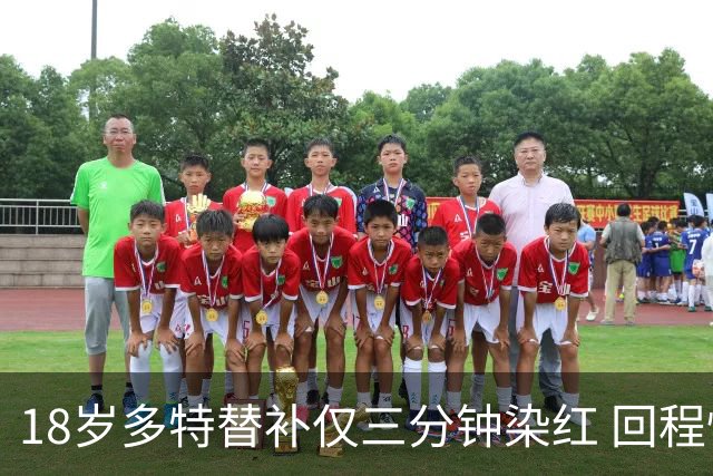 18岁多特替补仅三分钟染红 回程愤然砸队徽