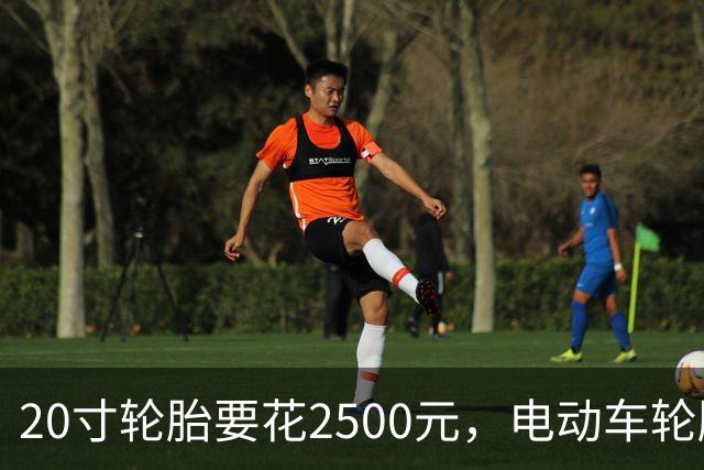 20寸轮胎要花2500元，电动车轮胎真这么贵？