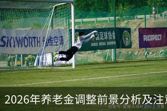 2026年养老金调整前景分析及注意事项